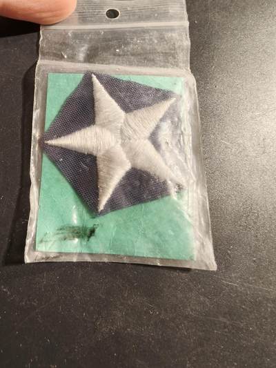 老王徽章第173期 - 美国军用白色星臂章