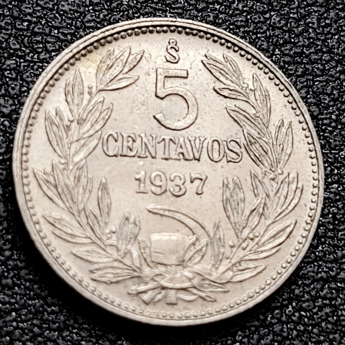 泉币菌-第158场-元旦欢乐场，开年第一场，新年快乐！（特修改截拍时间为23:30分） 。