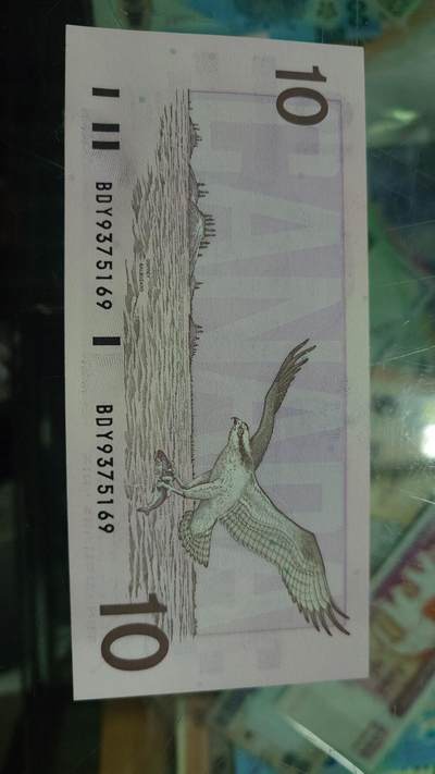 【新年二拍】世界钱币～微拍第223期暨2025年第63期  裸钞专场超低起拍 欢迎参与 - 1989年加拿大10元 鸟版全新绝品无4尾号169