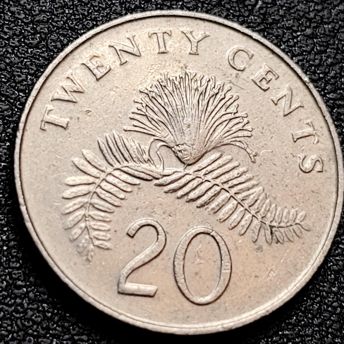 泉币菌-第158场-元旦欢乐场，开年第一场，新年快乐！（特修改截拍时间为23:30分） 。