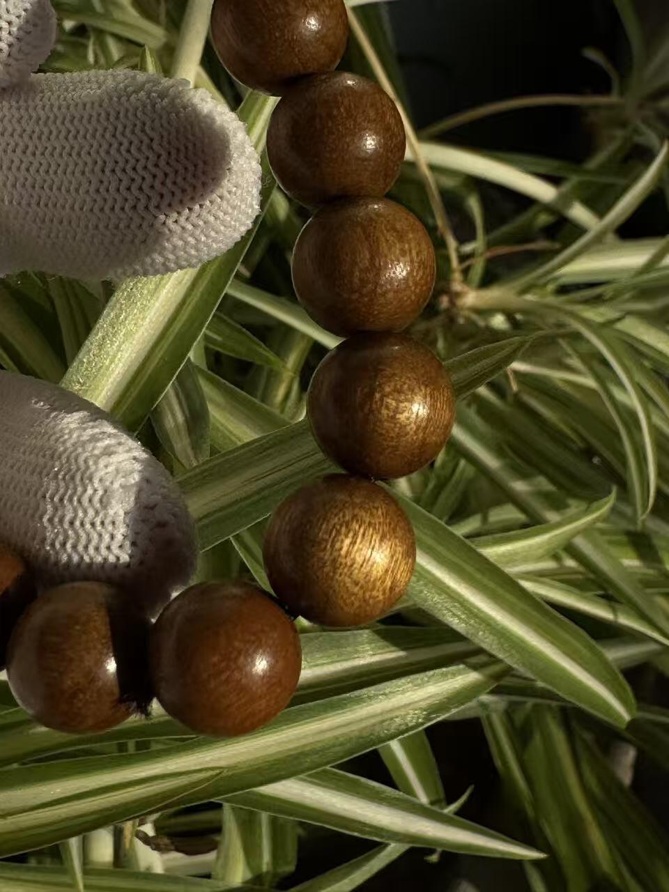 零元拍：金丝楠圆珠珠手串，10.5MM 金丝满满，满荧光，满手留香