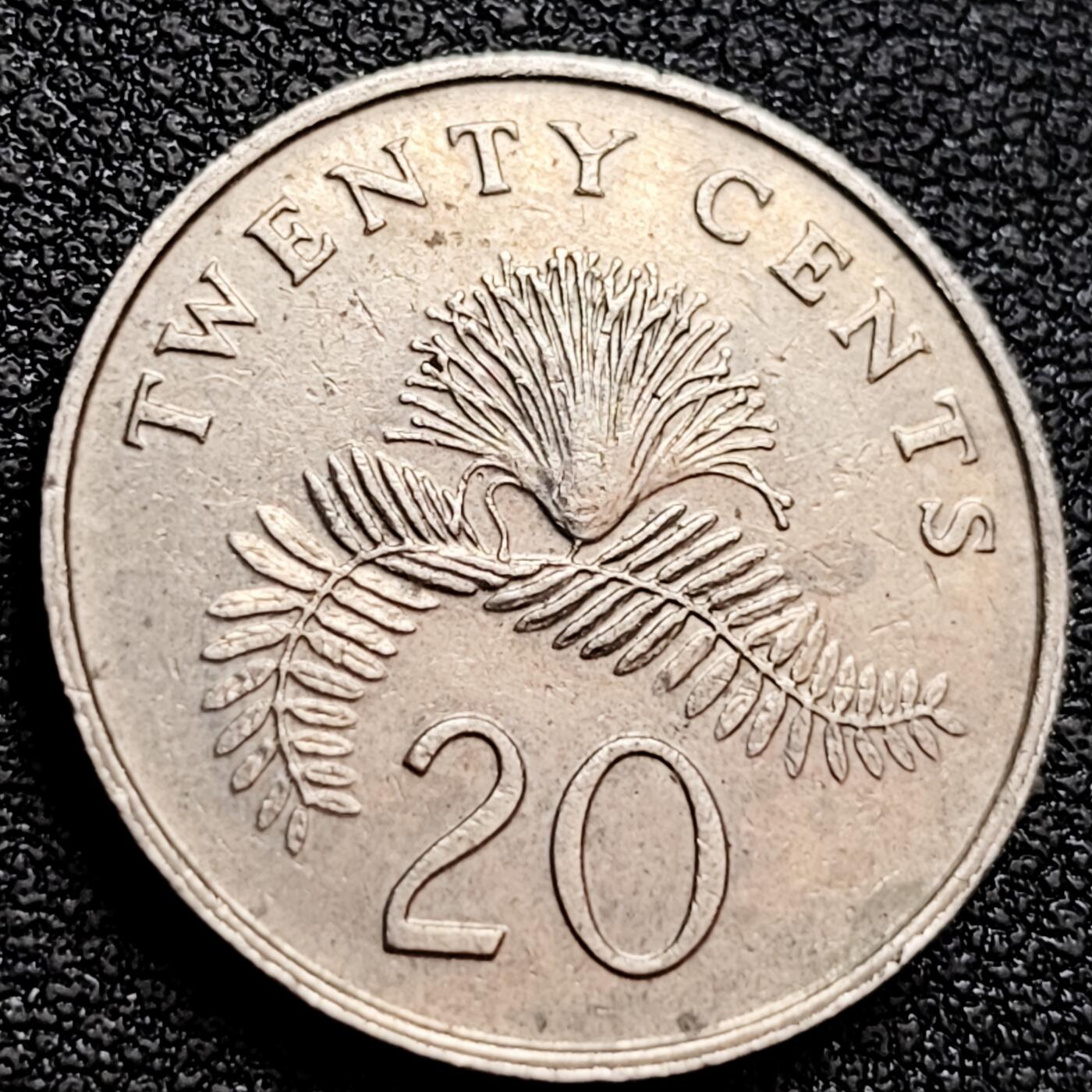 泉币菌-第158场-元旦欢乐场，开年第一场，新年快乐！（特修改截拍时间为23:30分） 。