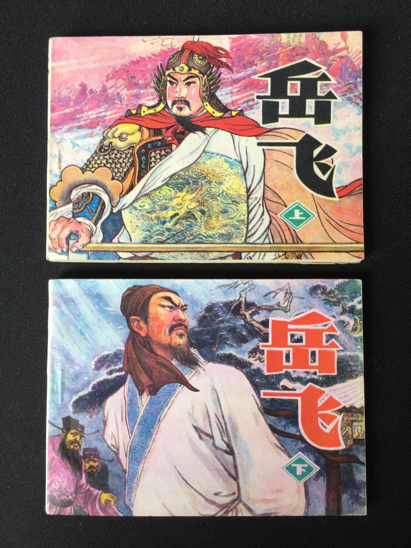 	 岳飞（上下）WDL003▇【封底浅灰色圆点是相机镜头导致】清书！不计成本！给钱就卖！