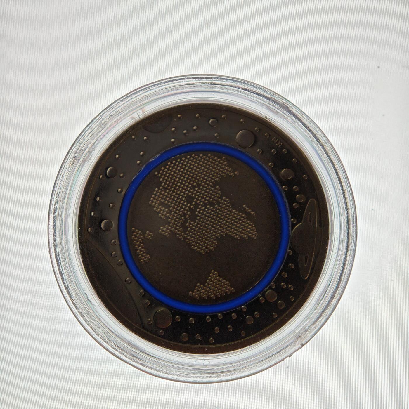 【德藏】世界币章拍卖第160期