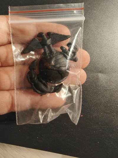 老王徽章第173期 - 美国海军陆战队大檐帽帽徽   低可视度版