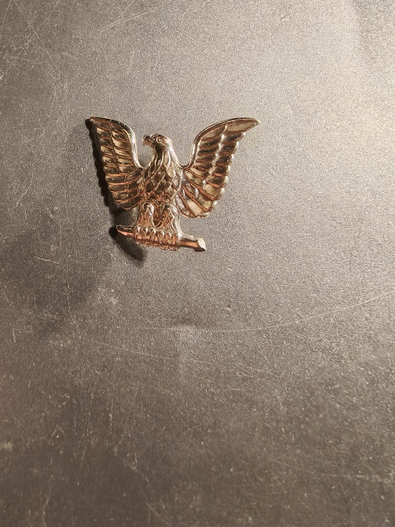 老王徽章第173期 美国海军帽徽