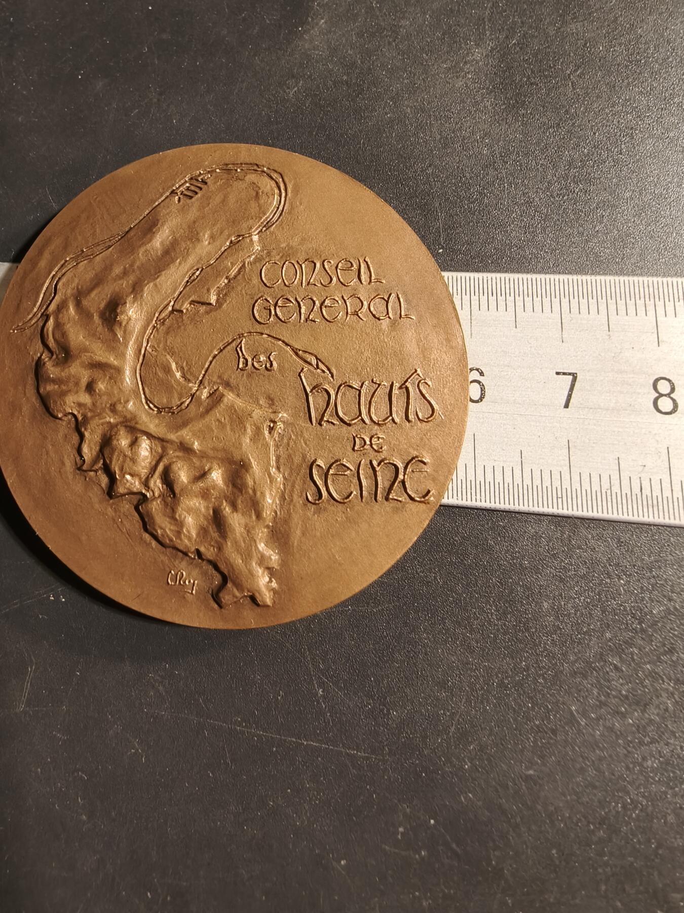 老王徽章第173期 法国上塞纳省议会大铜章     直径59mm     重量106g