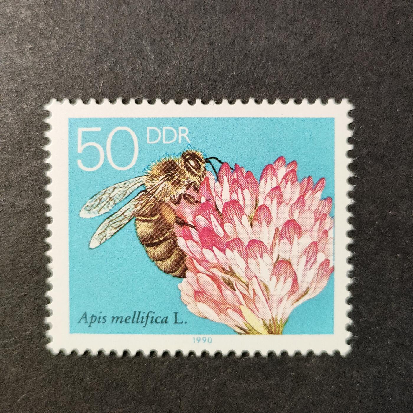 嘉禾收藏    【第424期】            无佣金、可寄存、满30元包邮 邮票一枚