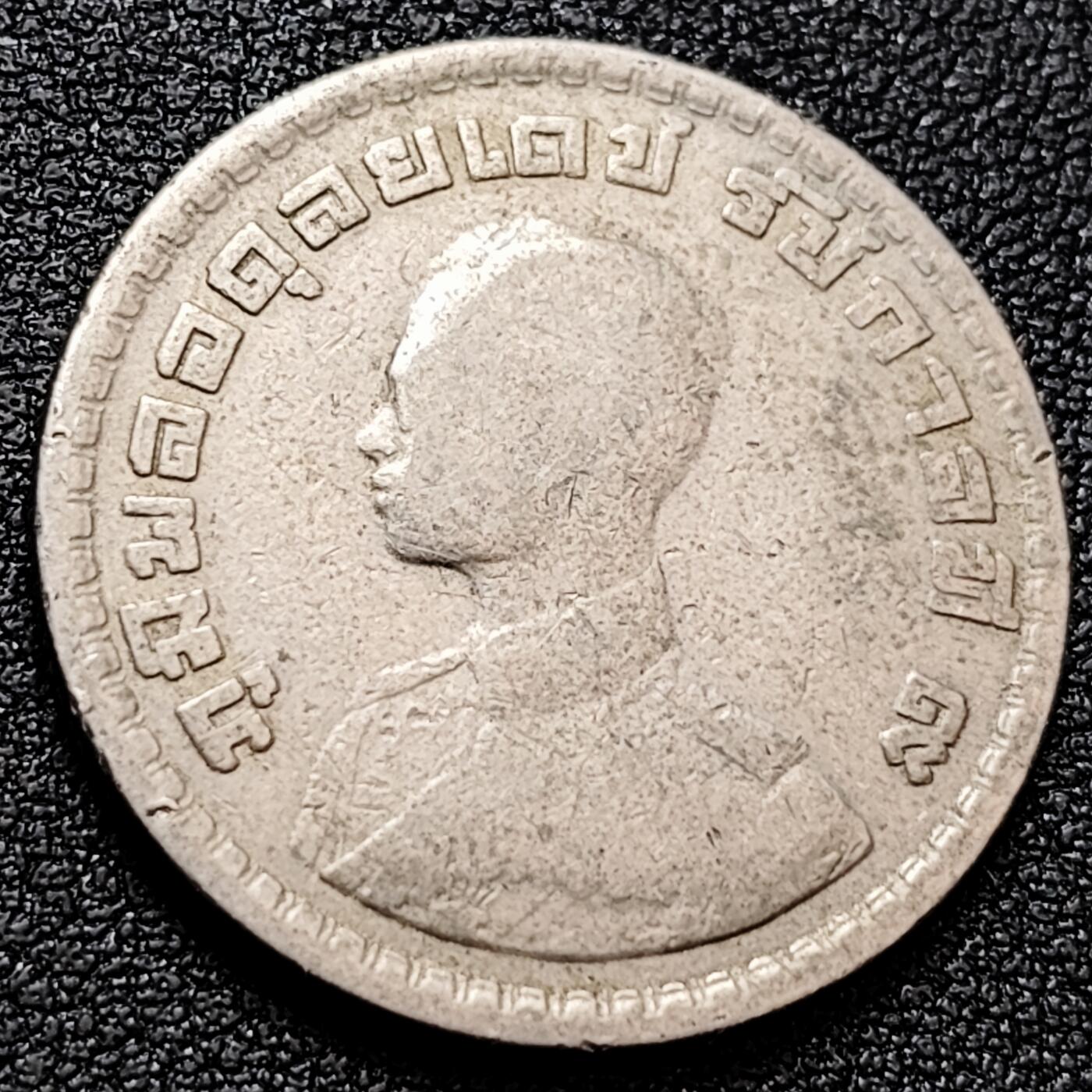 泉币菌-第158场-元旦欢乐场，开年第一场，新年快乐！（特修改截拍时间为23:30分） 。