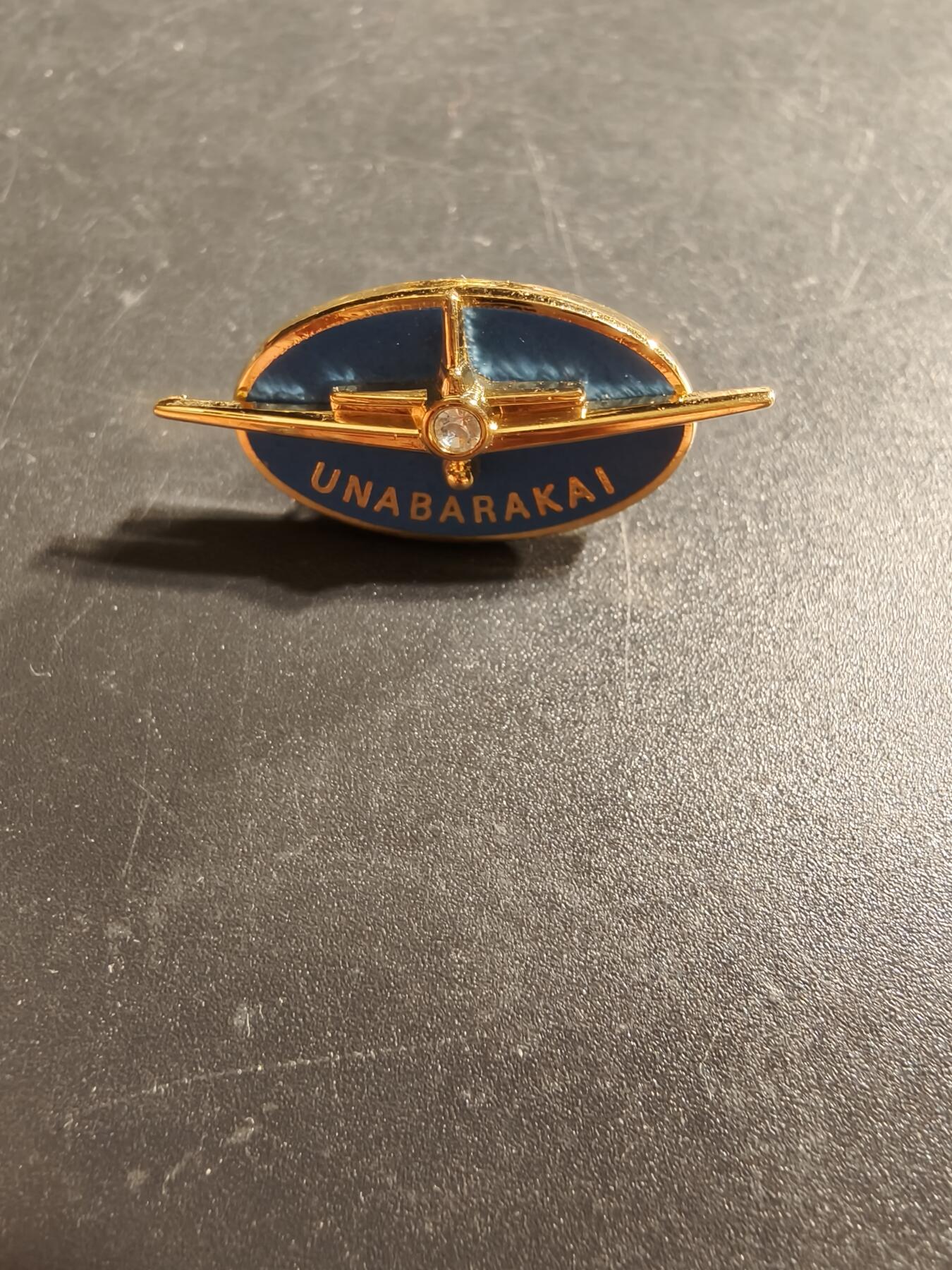 老王徽章第173期 美国空军证章