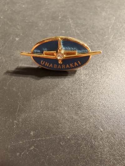 老王徽章第173期 - 美国空军证章