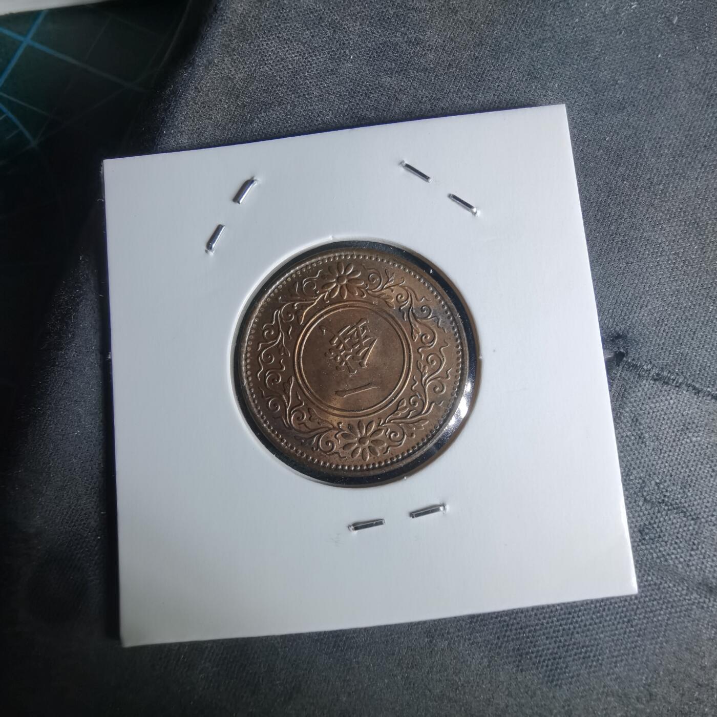 沼泽如烟--第951场