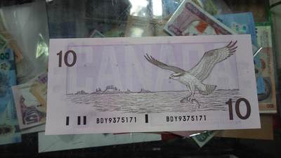 【新年二拍】世界钱币～微拍第223期暨2025年第63期  裸钞专场超低起拍 欢迎参与 - 1989年加拿大10元 鸟版全新绝品无4尾号171