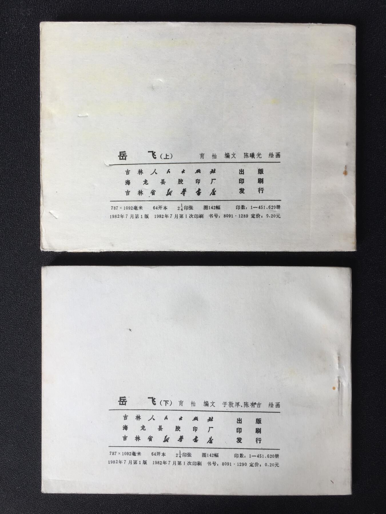 	 岳飞（上下）WDL003▇【封底浅灰色圆点是相机镜头导致】清书！不计成本！给钱就卖！