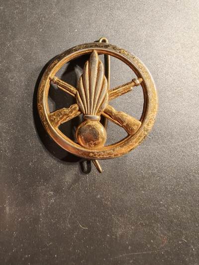 老王徽章第173期 - 法国步兵贝雷帽徽