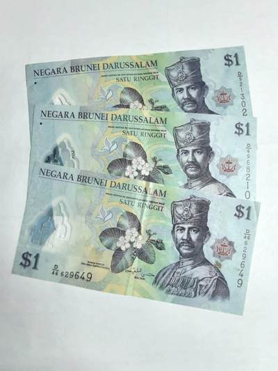 各国外币第106期 无佣金 - 文莱1林吉特3张 8品