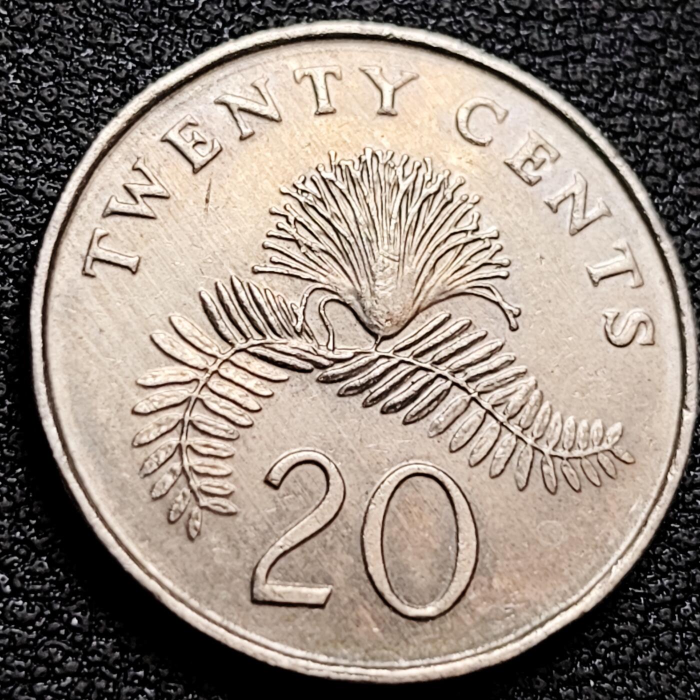 泉币菌-第158场-元旦欢乐场，开年第一场，新年快乐！（特修改截拍时间为23:30分） 。