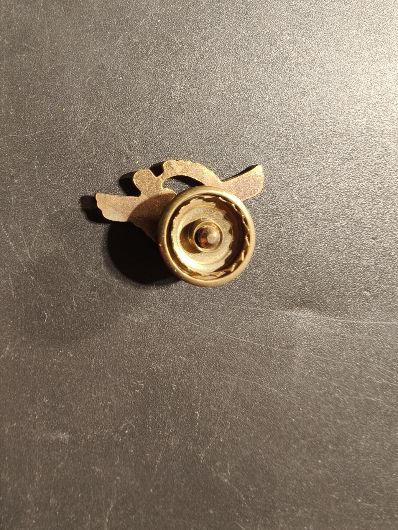 老王徽章第173期 美国海军预备役证章