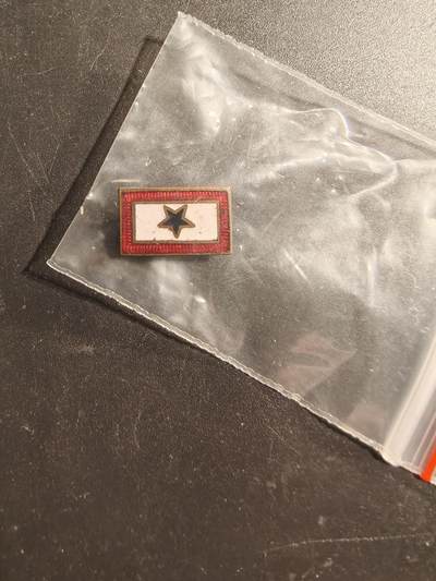 老王徽章第173期 - 美国二战蓝星证章    授予子女在美军服役的父母