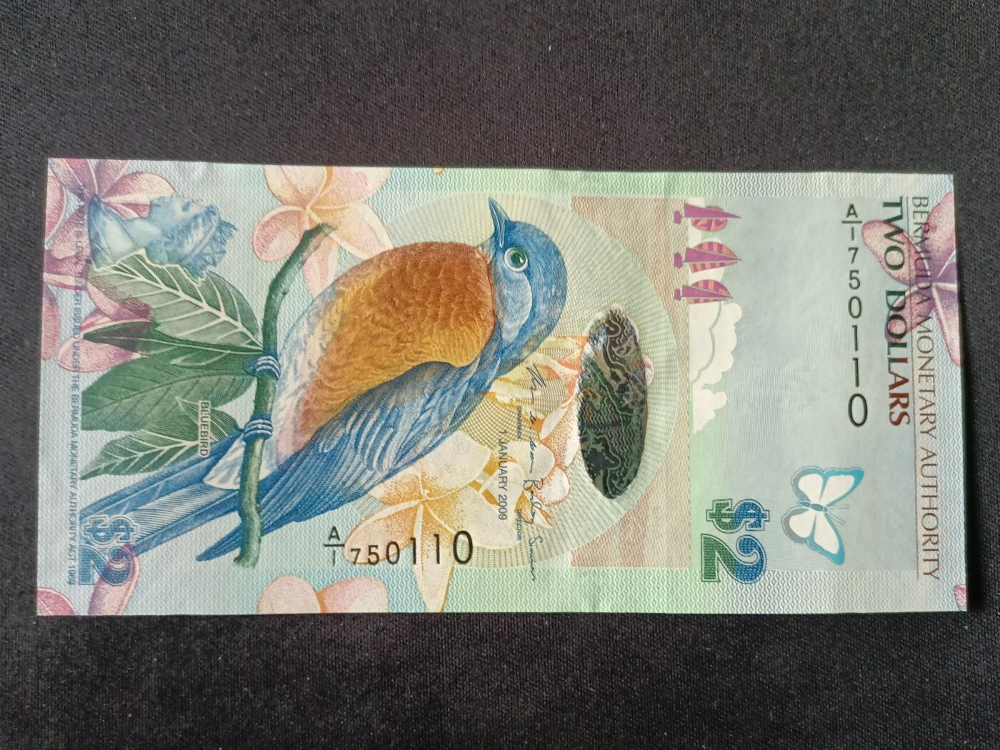 【游宝包邮场】蛇年第104期  百慕大-2元【2009年 全新UNC】