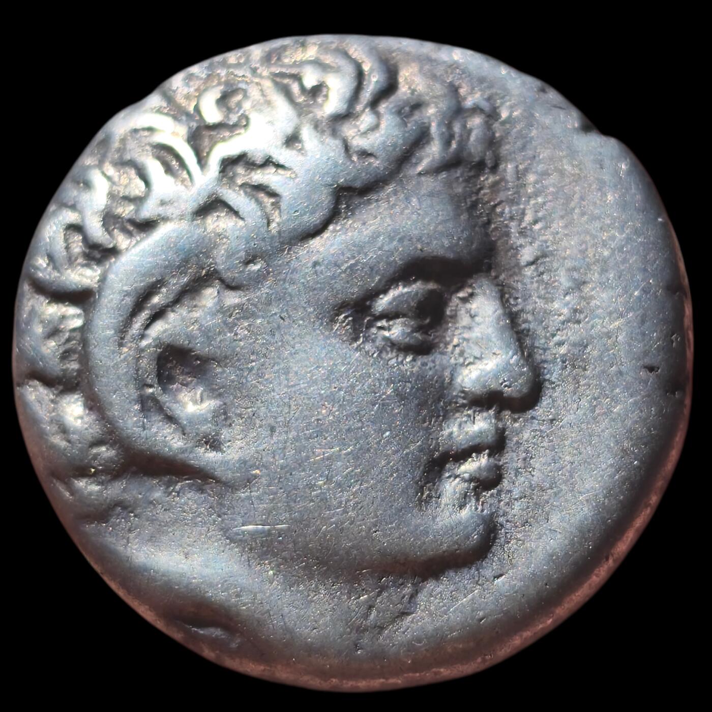 美品！古希腊-北非 昔兰尼加罗盘草 阿波罗-阿蒙 2德拉克马大银币7.48g 背面著名的教科书已灭绝的植物罗盘草 该类型币价格五千以上，此品非常干净漂亮，入手温润美观，非常不错的精品