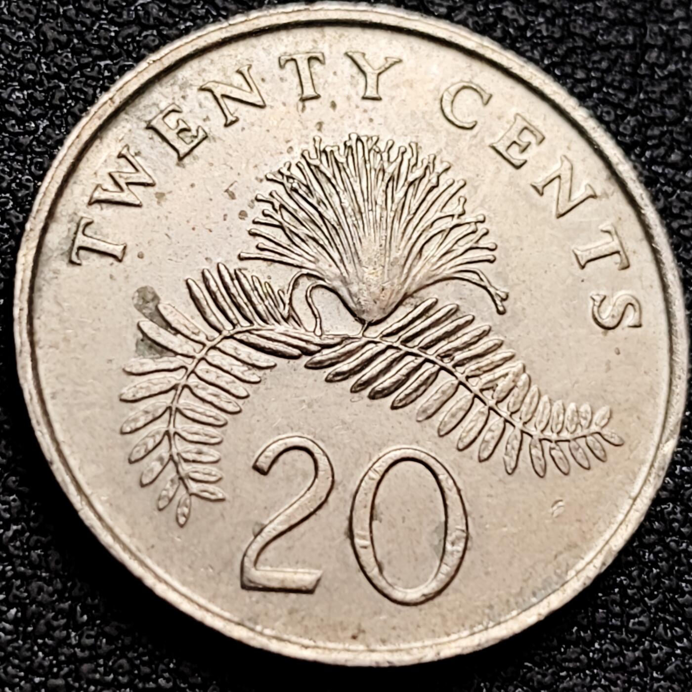 泉币菌-第158场-元旦欢乐场，开年第一场，新年快乐！（特修改截拍时间为23:30分） 。