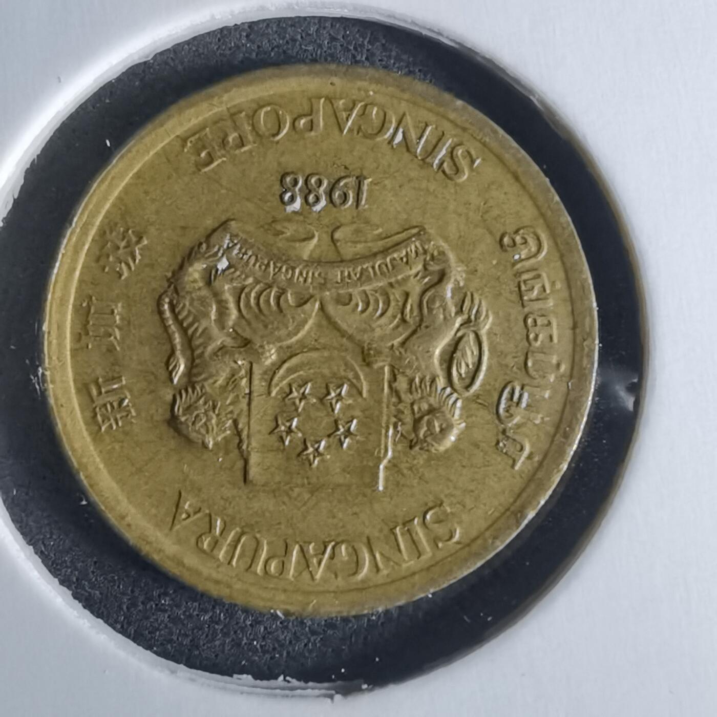 沼泽如烟--第951场