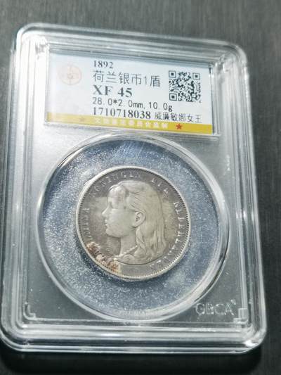 天下钱庄专场欢迎参拍 - 荷兰威廉敏娜萝莉头1盾银币