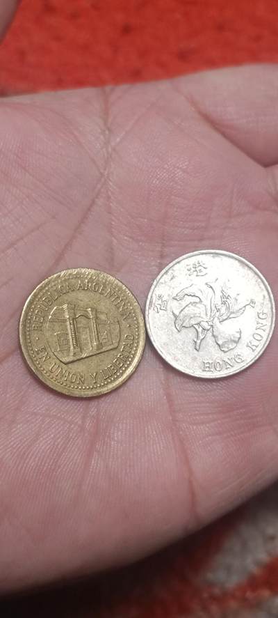 万国钱币阁第一场【元旦场】 - 阿根廷50分铜币➕香港紫荆花1元