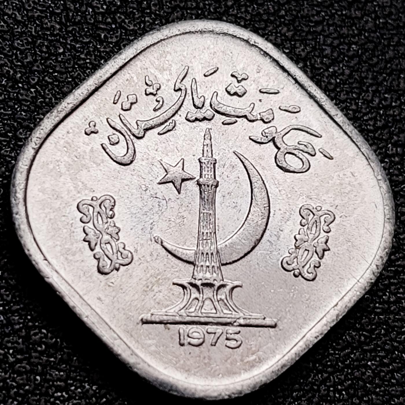 泉币菌-第159场-新年第二场 精品福利场 。