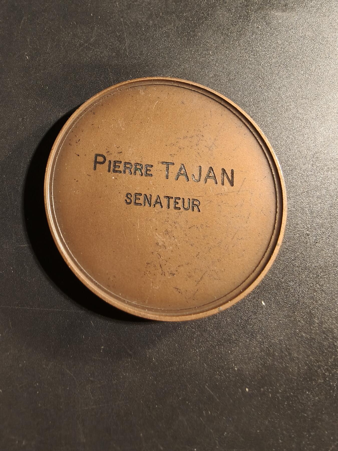 老王徽章第173期 法国参议员赠大铜章     直径51mm    重量70g