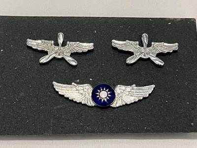 韵星假日拍卖第三十四期 -- Rimey Holidays Auction 34 - 空军飞行员荣誉徽章与领章一组