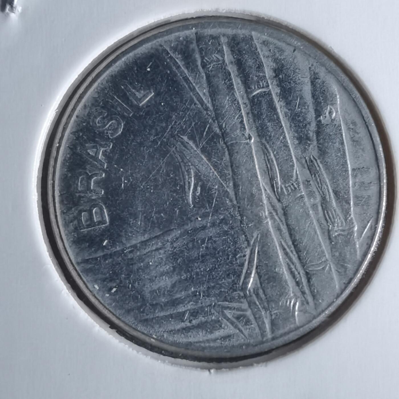 沼泽如烟--第951场