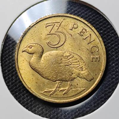 KK钱币收藏小铺 《套币 好品/批量散币专场》  2月预留时间 周末发货 -  1966英属冈比亚3便士黄铜币 好品