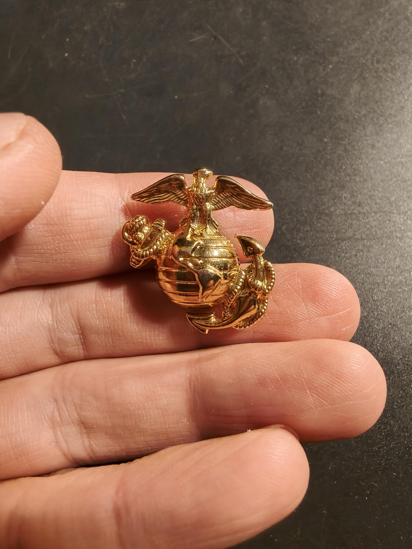 老王徽章第173期 美国海军陆战队领章