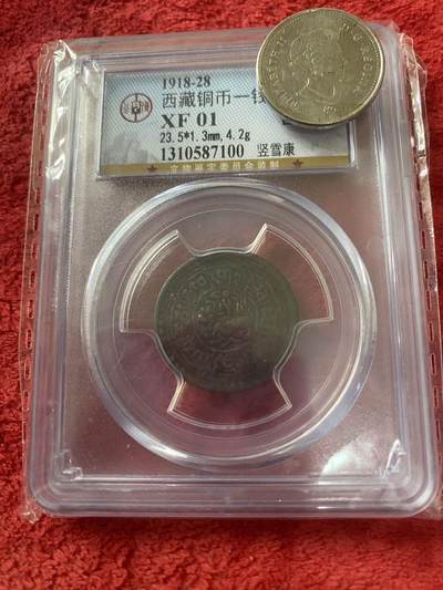小英开心拍第331期 西藏铜币一钱，评级币喜欢来拍