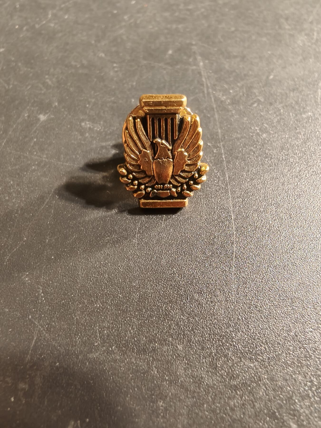 老王徽章第173期 美国建筑师学会金级会员证章