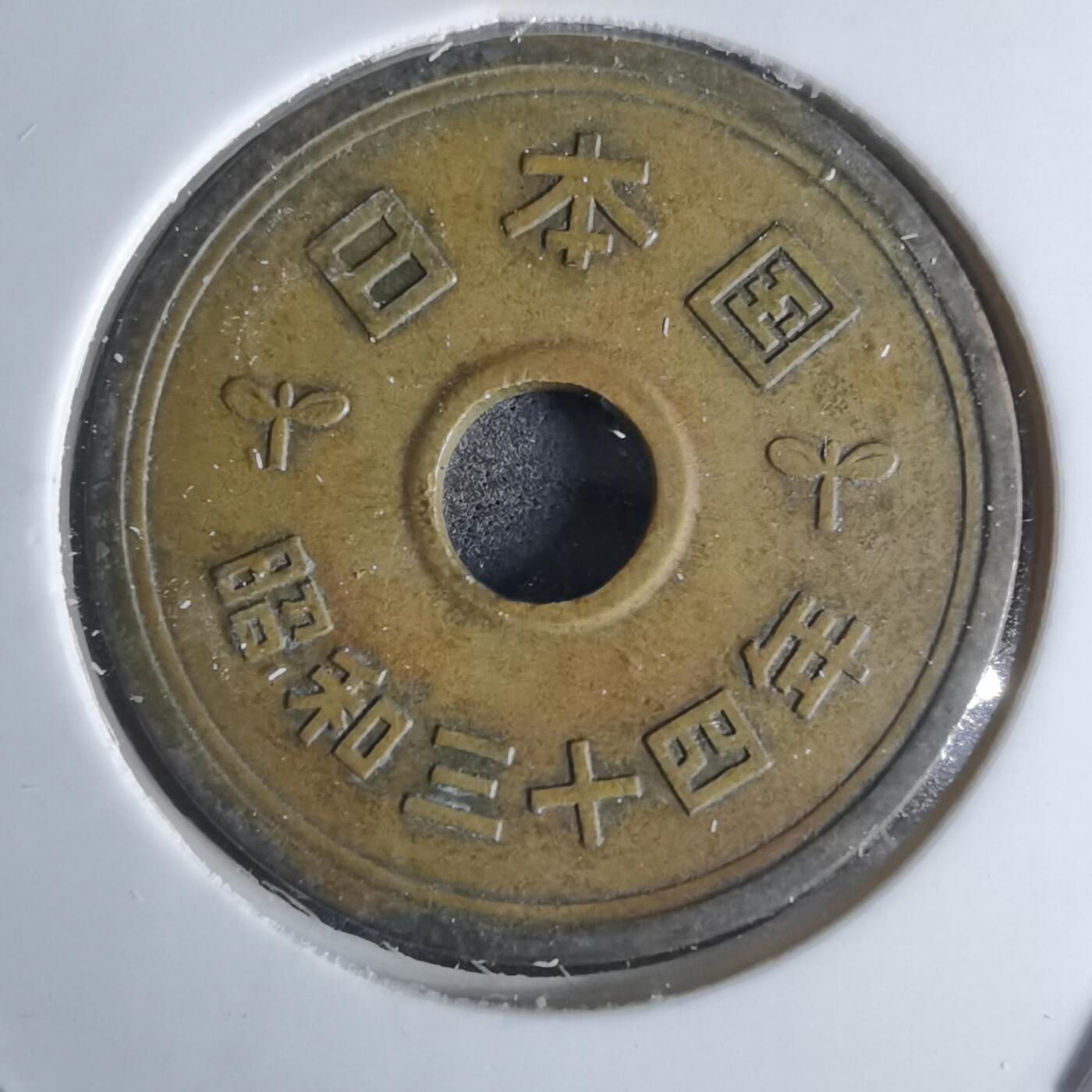 沼泽如烟--第951场 民国三十四年五元