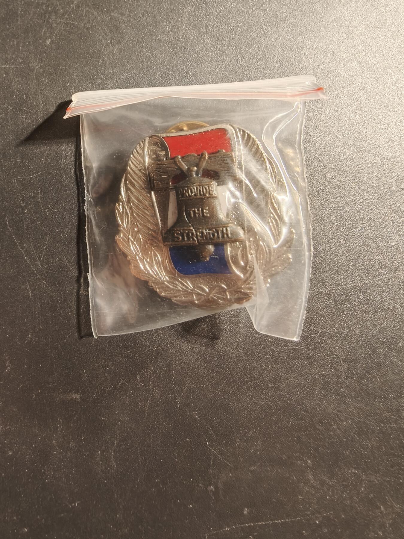 老王徽章第173期 美国陆军招募司令部证章