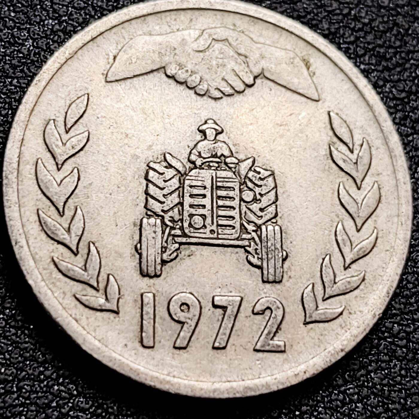 泉币菌-第158场-元旦欢乐场，开年第一场，新年快乐！（特修改截拍时间为23:30分） 。