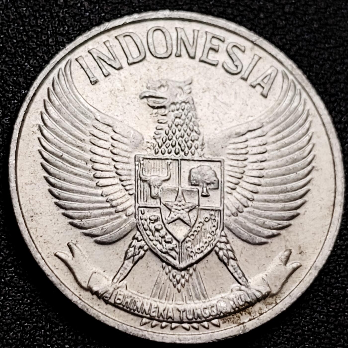 泉币菌-第159场-新年第二场 精品福利场 。