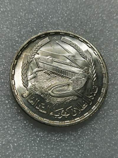 天下钱庄专场欢迎参拍 - 埃及1磅银币