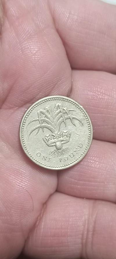 万国钱币阁第一场【元旦场】 - 英国蓟花1英镑