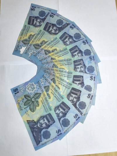 各国外币第106期 无佣金 - 文莱1林吉特不同年份9张 85品
