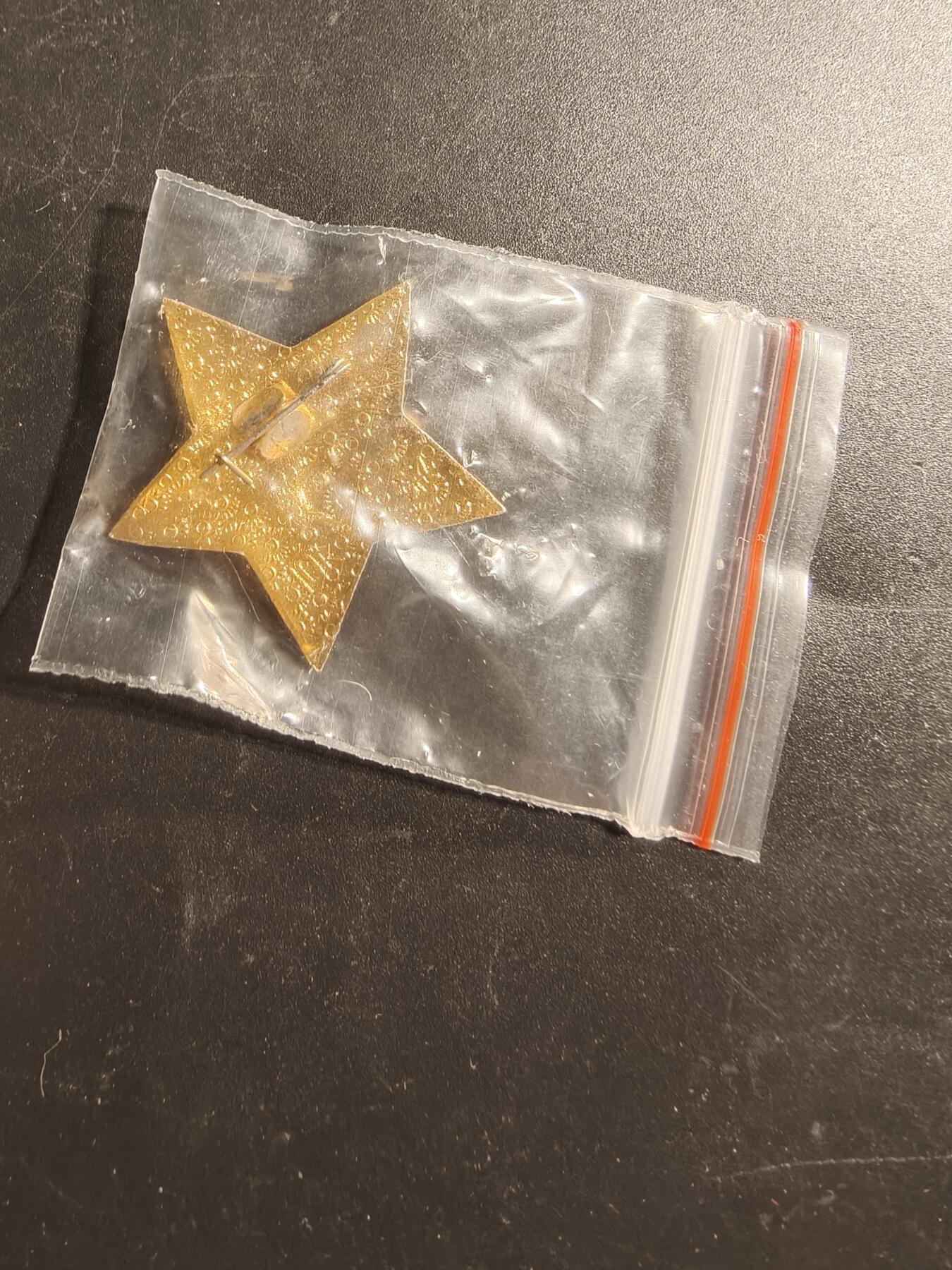 老王徽章第173期 苏联少先队证章