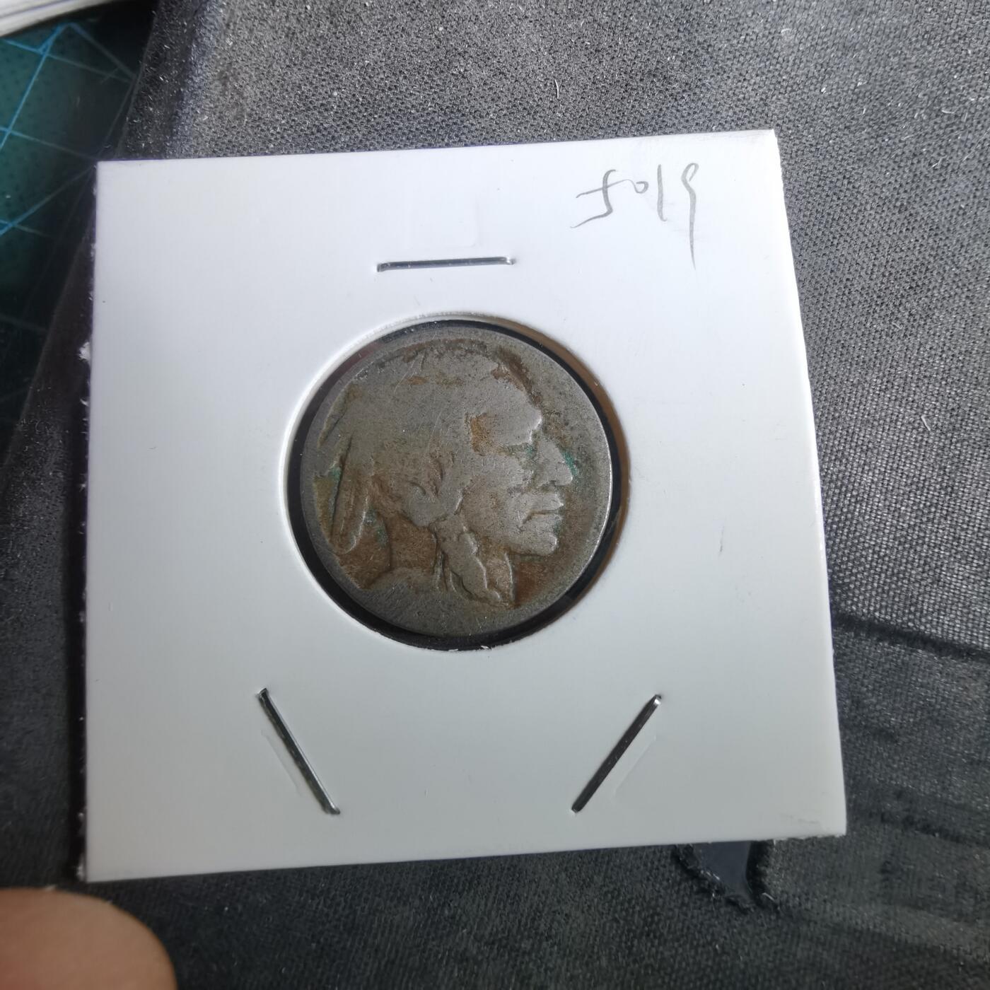 沼泽如烟--第950场 美国五分野牛