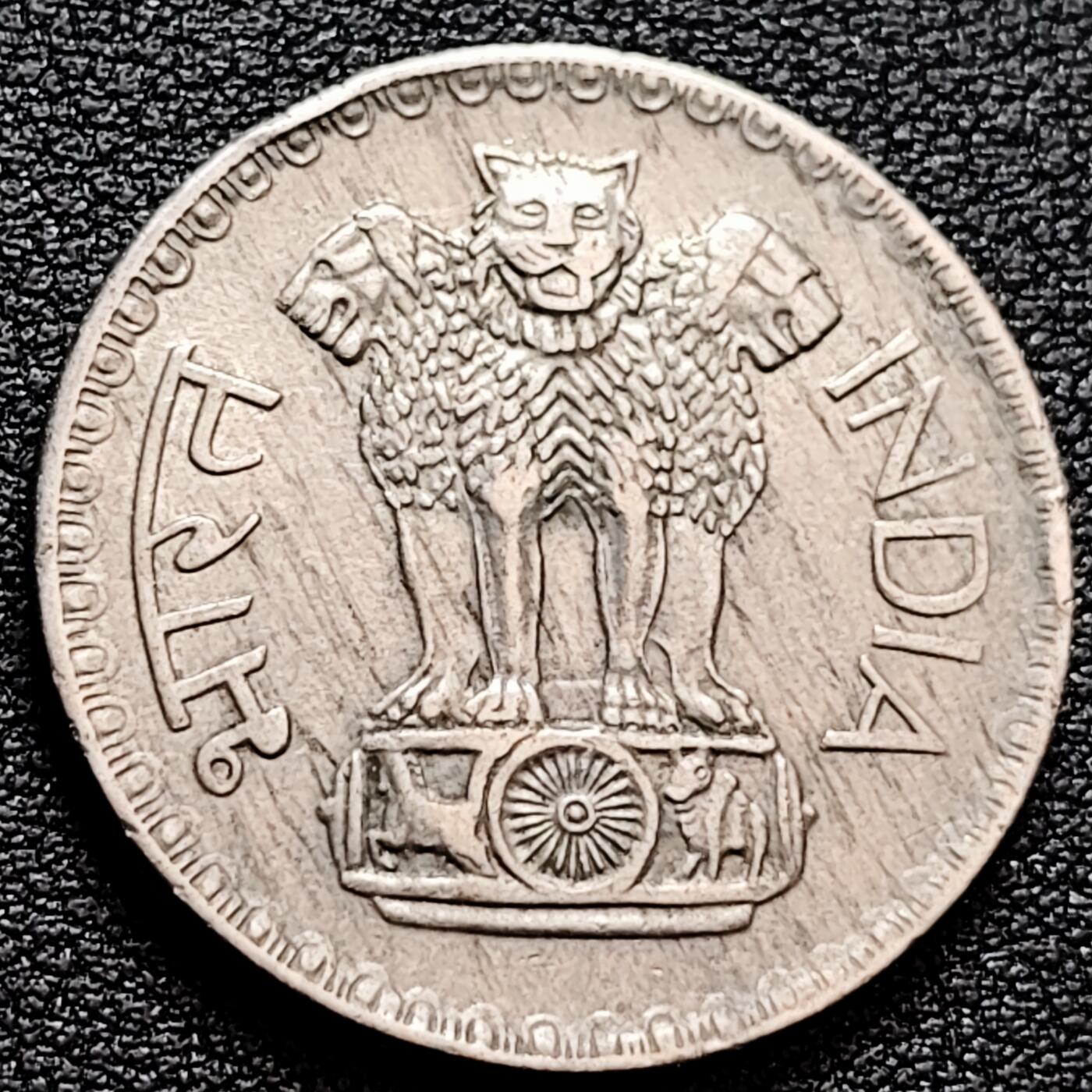 泉币菌-第159场-新年第二场 精品福利场 。