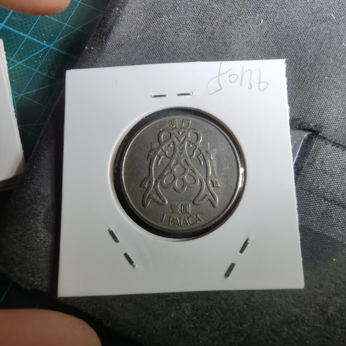 沼泽如烟--第950场