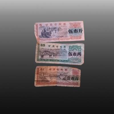 程曦曙光-安欣 - 1974年甘肃省粮票