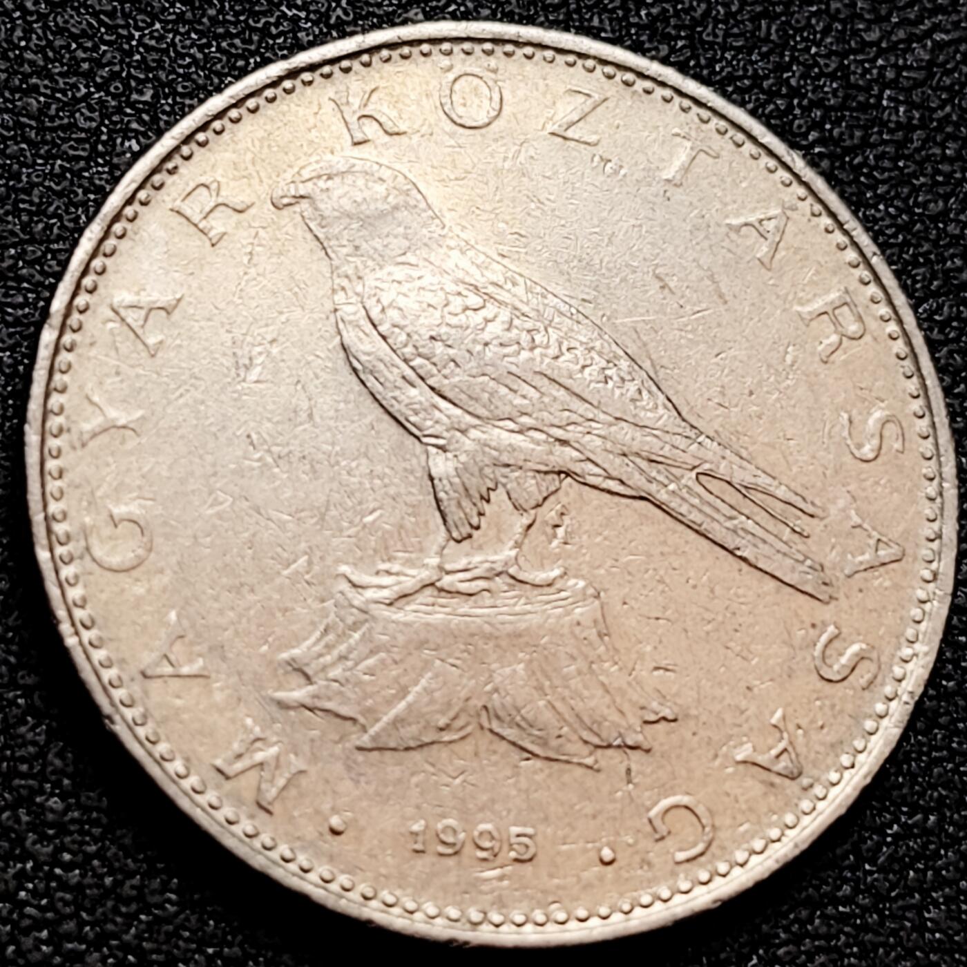 泉币菌-第160场-新年第三场 精品福利场 凯斯猎鹰 匈牙利1995年 50福林銅镍硬币 27.4毫米 7.7克